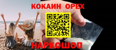 крисы Можга