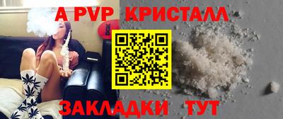 крисы Можга