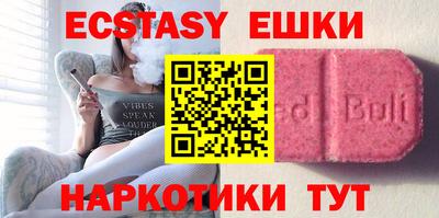 крисы Можга