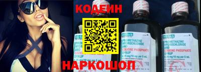 крисы Можга